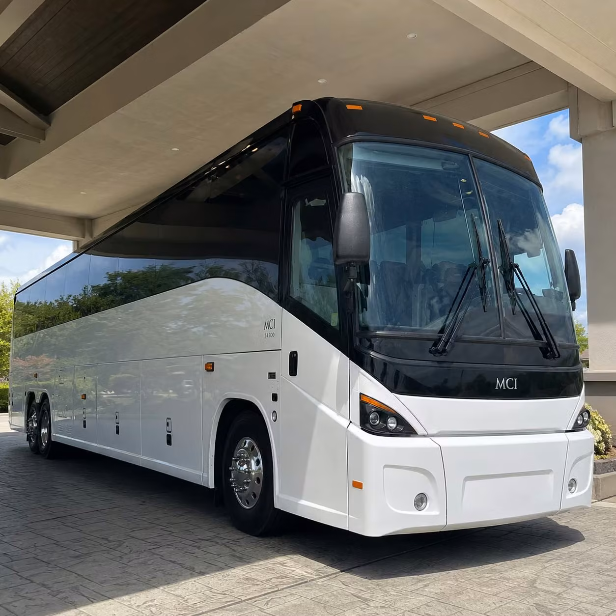 border patrol customs and federal agency group transportation in pharr